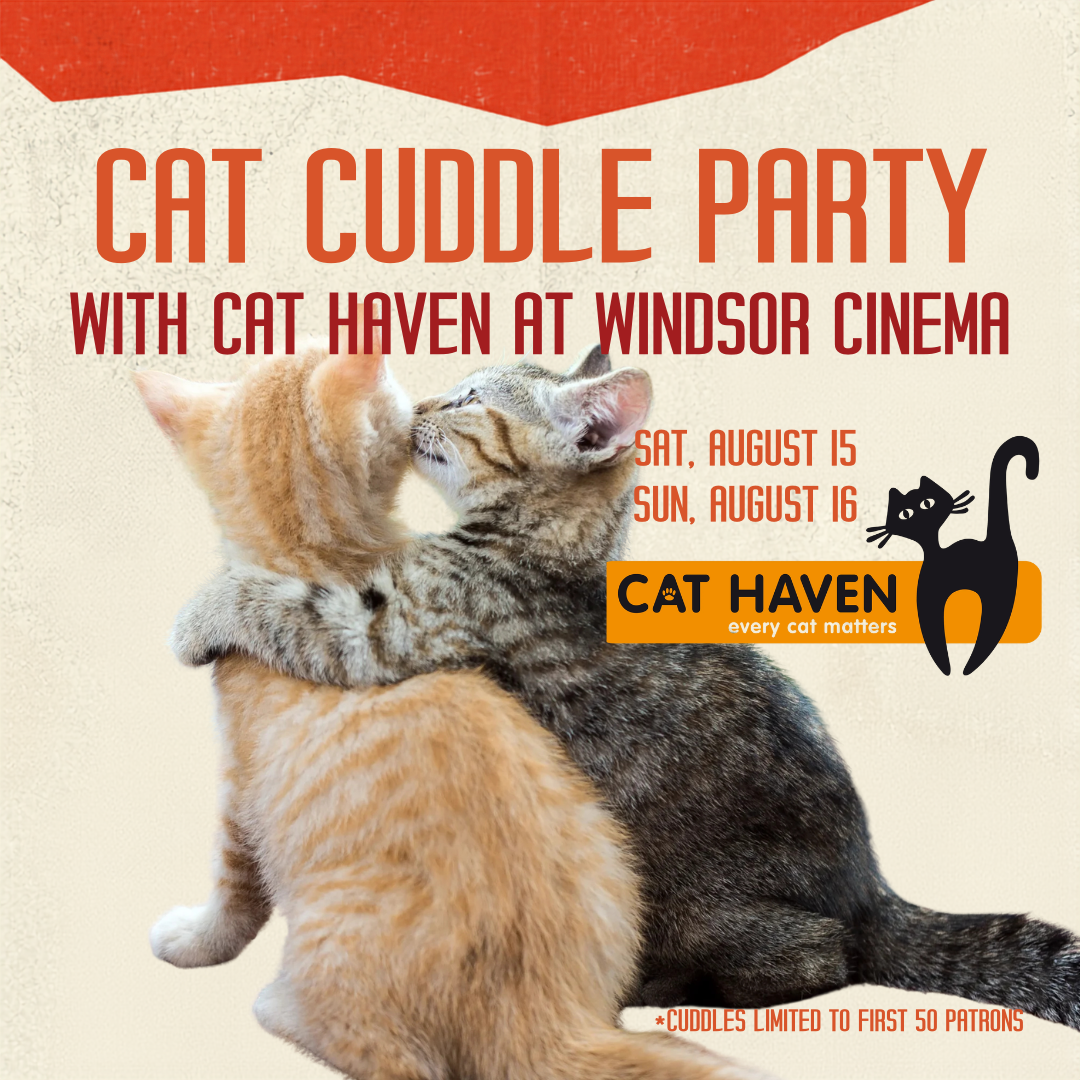 Text: cat cuddle party with cat haven at windsor cinema. August 15 and August 16. Image: Two kittens snuggle up together. 
